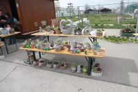 Ostermarkt in den Blumengärten Hirschstetten 