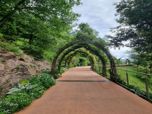Gärten von Schloss Trauttmansdorff in Meran-Italien 2025_IV